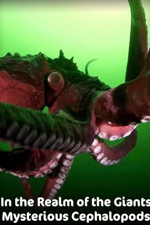 In the Realm of the Giants - Mysterious Cephalopods