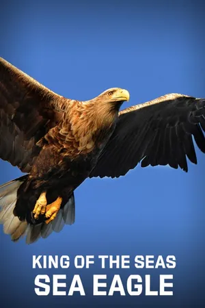 King of the Seas, Sea Eagle