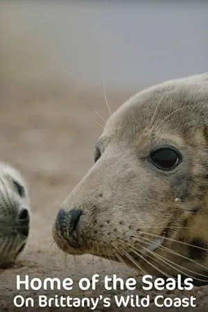 Home of the Seals: On Brittanny's Wild Coast