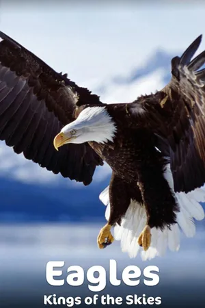 Eagles - Kings of the Skies