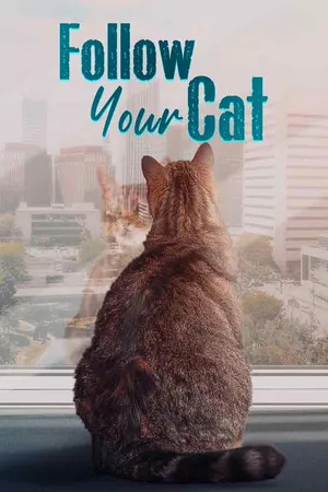 Follow Your Cat