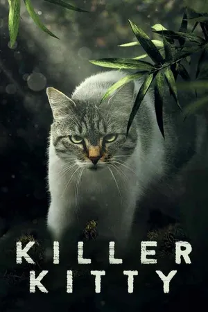 Killer Kitty