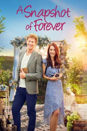 Snapshot of Forever, A