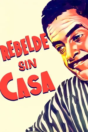 Rebelde sin casa