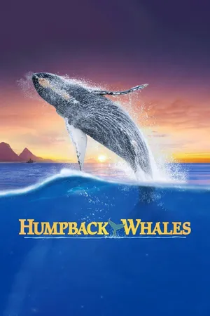 Humpback Whales