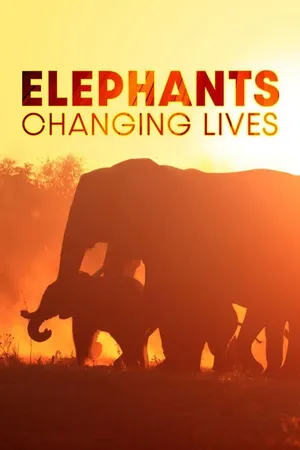 Elephants: Changing Lives