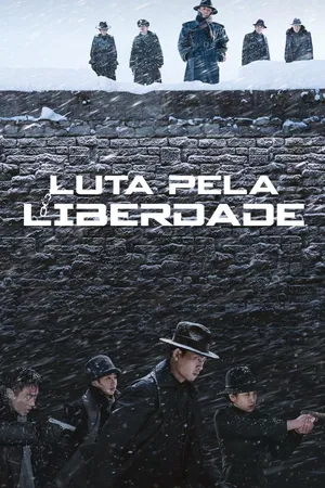 Luta Pela Liberdade