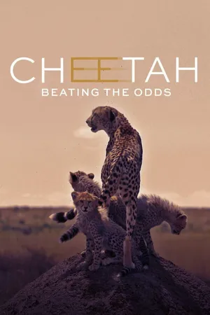 Cheetah: Beating the Odds