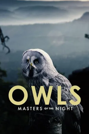 Owls: Masters of the Night