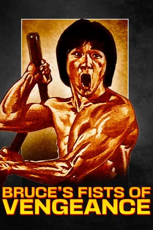 Bruce's Fists Of Vengeance