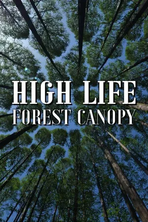High Life: Forest Canopy