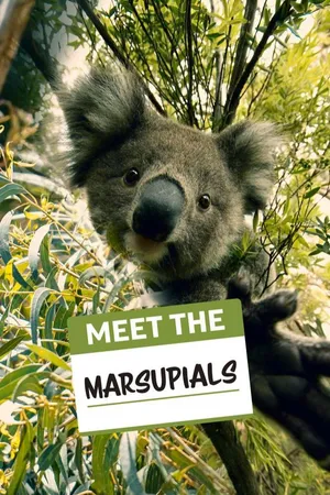 Meet The Marsupials