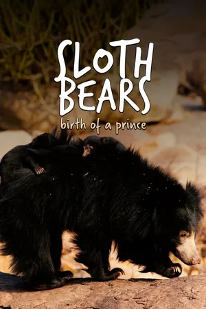 Sloth Bears: Birth Of A Prince