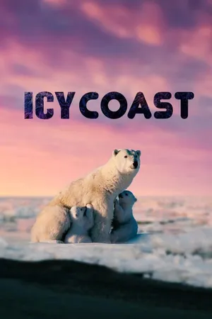 Icy Coast