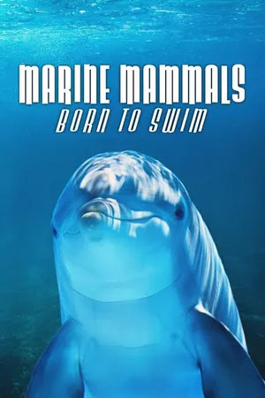 Marine Mammals Born to Swim