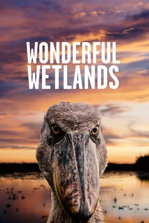Wonderful Wetlands
