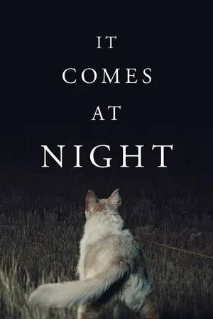 It Comes At Night