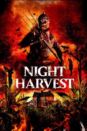 Night Harvest