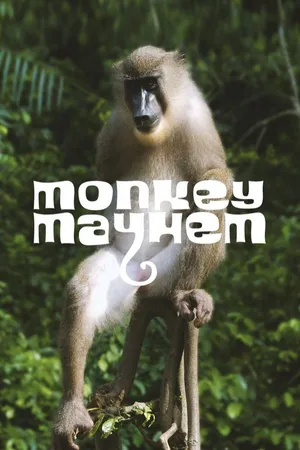 Monkey Mayhem