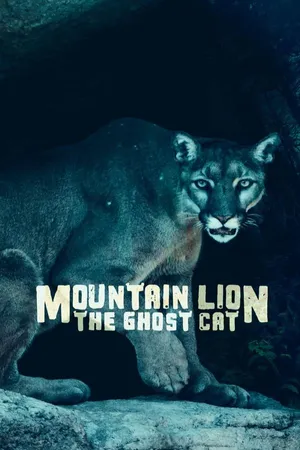 Mountain Lion: The Ghost Cat