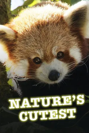 Nature’s Cutest