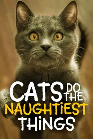 Cats do the Naughtiest Things