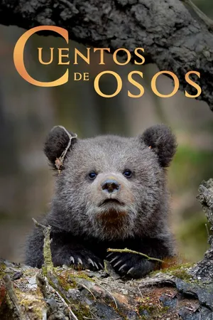 Cuentos de oso