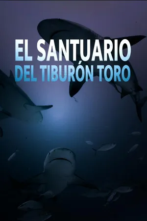 El Santuario del Tiburón Toro