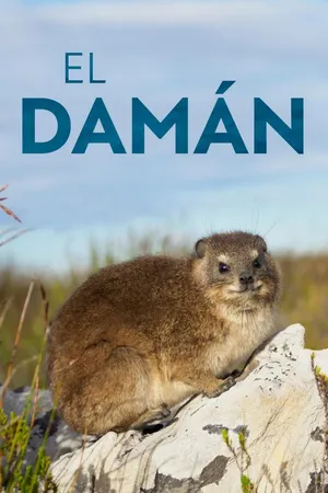El Dassie