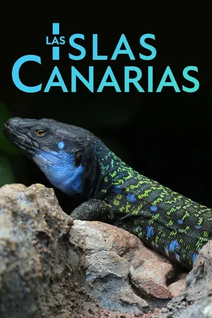 Las islas canarias