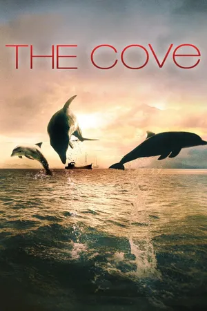 The Cove
