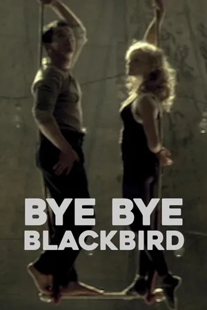 Bye Bye Blackbird