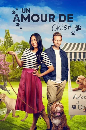 Un amour de chien