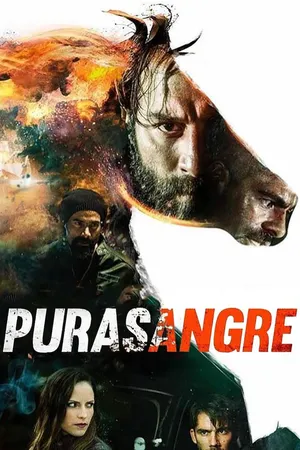 Purasangre