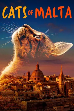 Cats of Malta