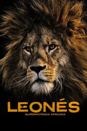Leones: los superhéroes africanos