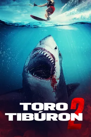 Tiburón toro 2