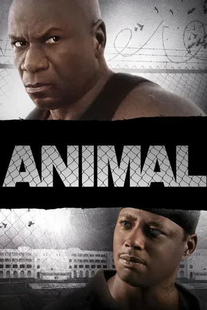Animal
