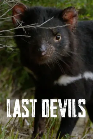 Last Devils