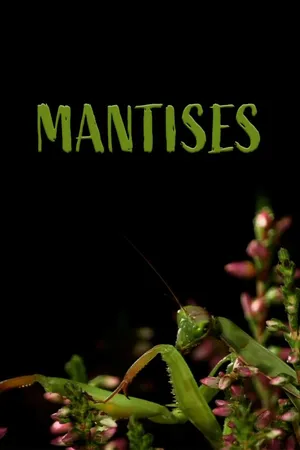 Mantises - Masters Of Deception