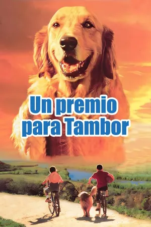 Un premio para Tambor