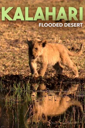 Kalahari: The Flooded Desert