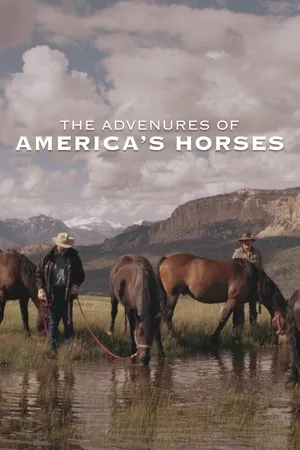 The Adventures of America's Horses