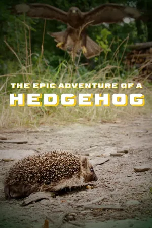 Epic Adventure Of A Hedgehog