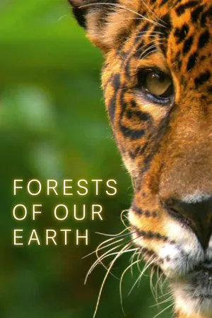 Forests of Our Earth