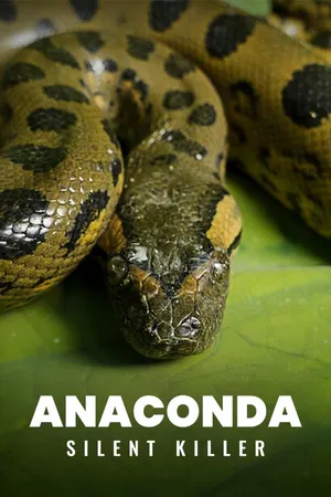 Anaconda - Silent Killer