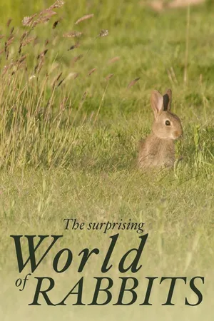 Surprising World Of Rabbits