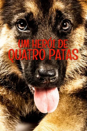 Um Herói de Quatro Patas