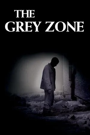 The Grey Zone