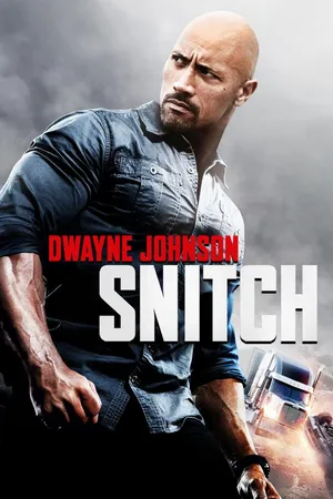 Snitch (2013)